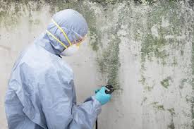 Best Mold Remediation for Healthcare Facilities  in South Russell, OH